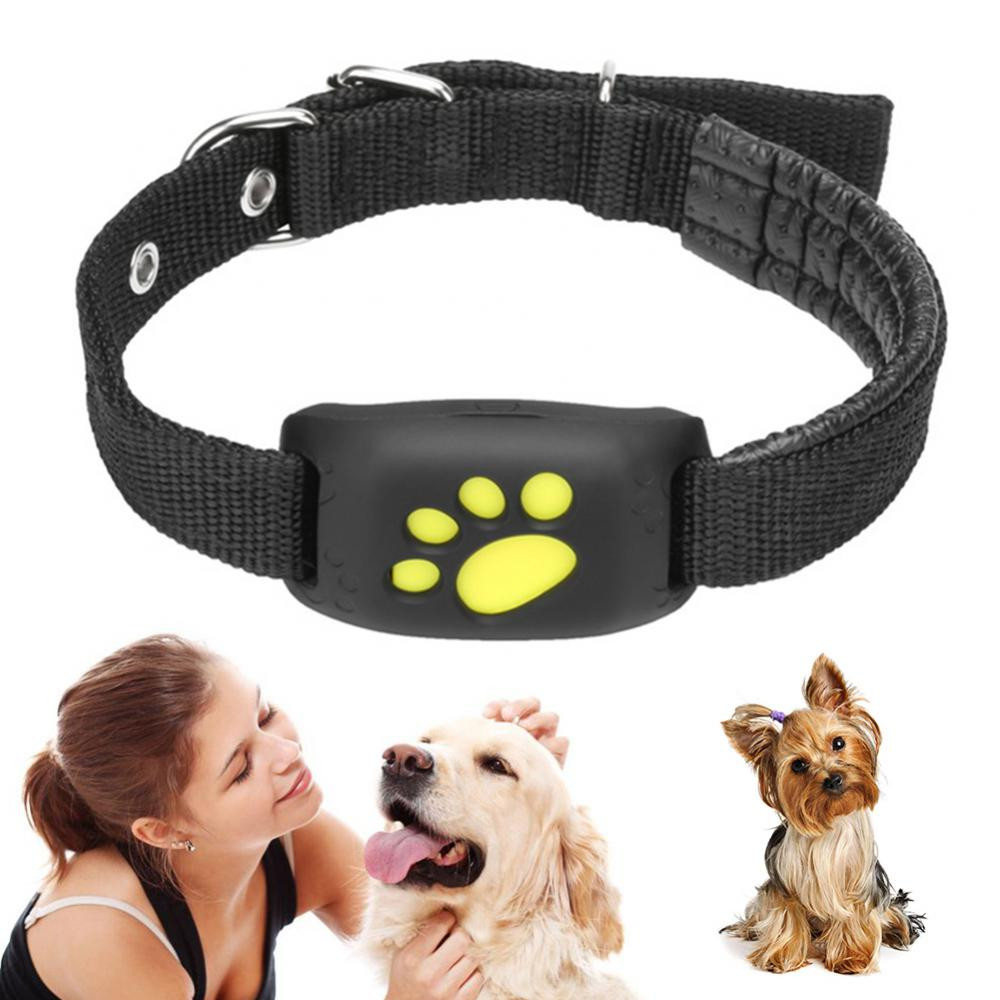 Collier d'animaux GPS Tracker Z8